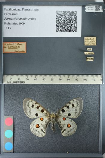 Media type: image;   Entomology 175214